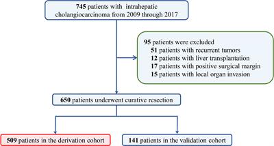 Tumor Burden Score Stratifies Prognosis of Patients With Intrahepatic Cholangiocarcinoma After Hepatic Resection: A Retrospective, Multi-Institutional Study